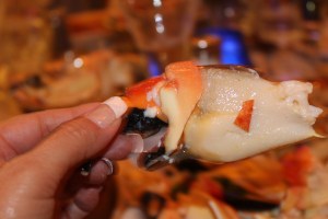 Ginabirthday2014 038