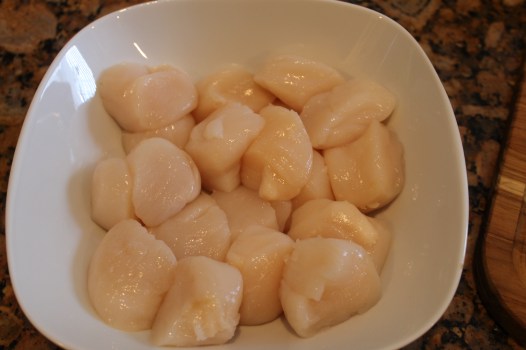 Sea Scallops 