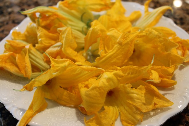 Zucchini Blossoms 