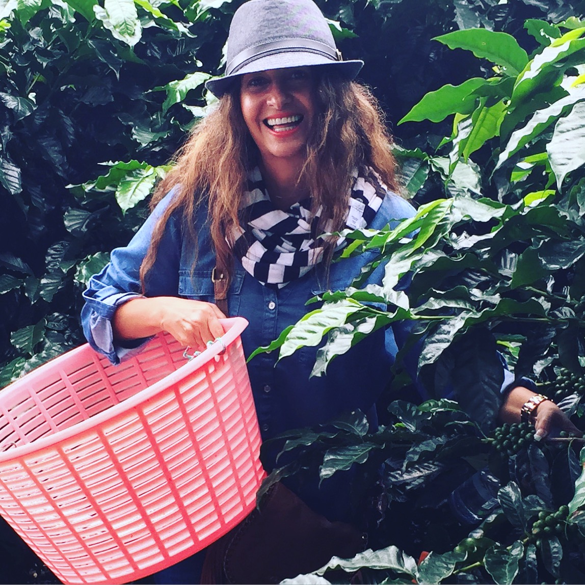 That's me,picking coffee beans off the plant using a canasto